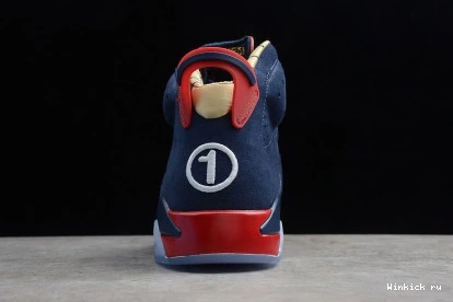 6 RETRO - JORDAN 15TH ANNIVERSARY DOERNBECHER 0811